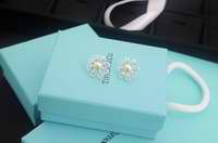 Earring018